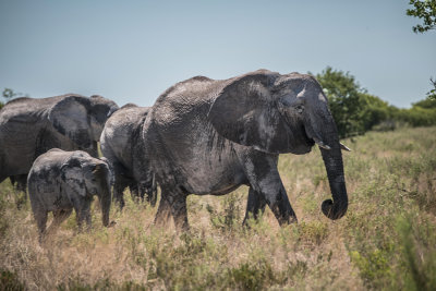 Namibie