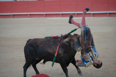 encornada Diego san Roman nimes feria des vendanges 2018