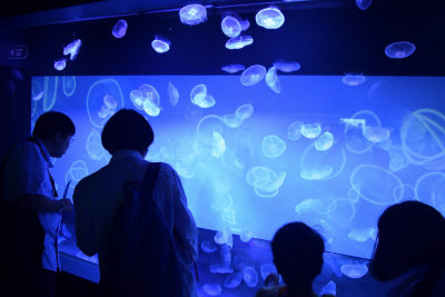 Sumida Aquarium