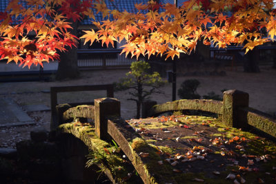 Fall in Takayama