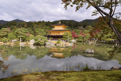 Golden pavillion, Kyoto