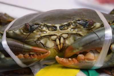 Angry crab, Naha fish market