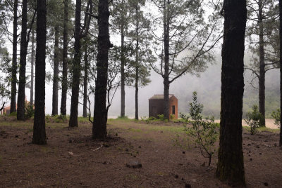 Forest hut, El Pilar