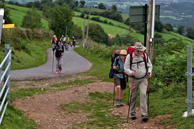 2017-StJean to Roncesvalles-IMGP3191