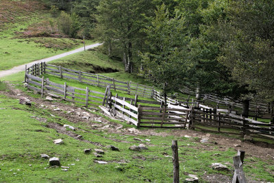 2017-StJean to Roncesvalles-IMGP3226