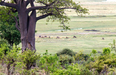 SA_01110-Baobab-RoomView2.JPG