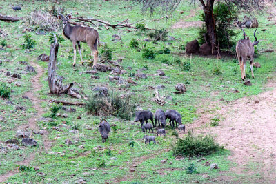 SA_01114-Baobab-RoomView.JPG