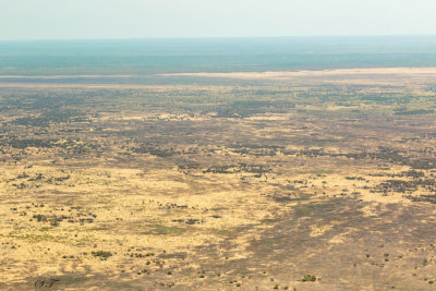 SA_04106-Chobe-Fly-To-Okavango.JPG