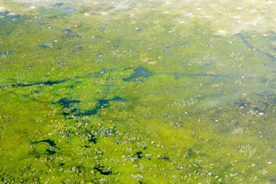 SA_04108-Chobe-Fly-To-Okavangoi.JPG