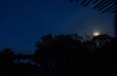 SA_08210-Moon_Kafue.JPG