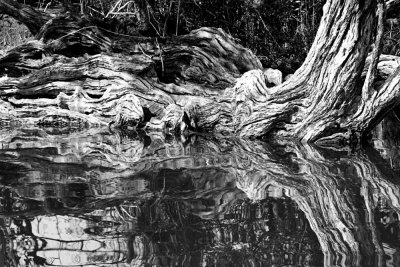 SA_09108-reflection_bw.JPG