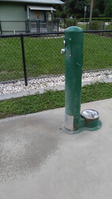 IMG_20170630_171357.jpg