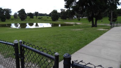 IMG_20170630_171332.jpg