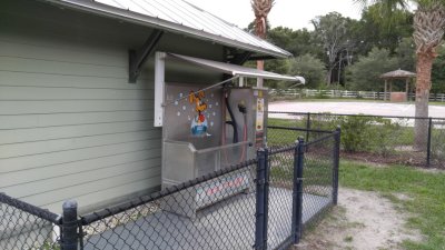 IMG_20170630_171255.jpg