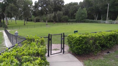 IMG_20170630_171205.jpg