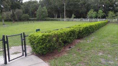 IMG_20170630_171150.jpg