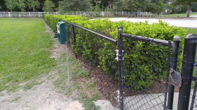 IMG_20170630_171115.jpg