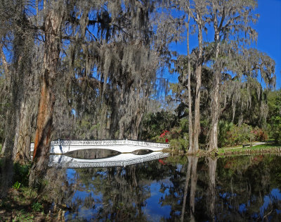 Magnolia Gardens and Plantation