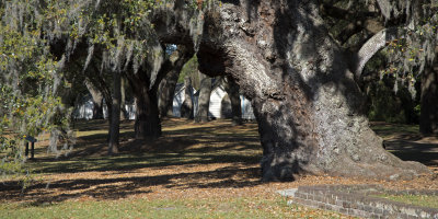 McLeod Plantation 2017