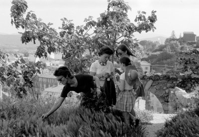 Picking flowers