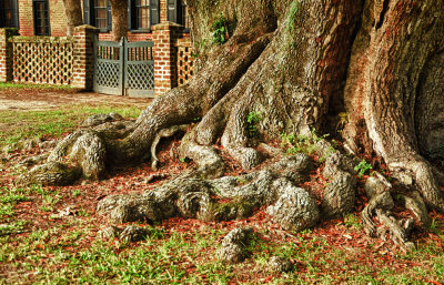 DSC_0634_HDR.jpg