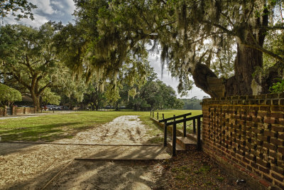 wall with oaks_HDR.jpg