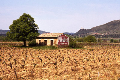 1977-May, en Provence.  Agfa