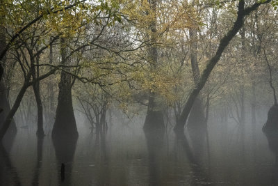 December afternoon with fog on the water
