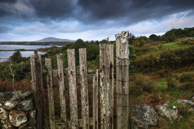 Fences at Cashel Bay
