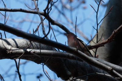 Spring@Kudlacze.pl