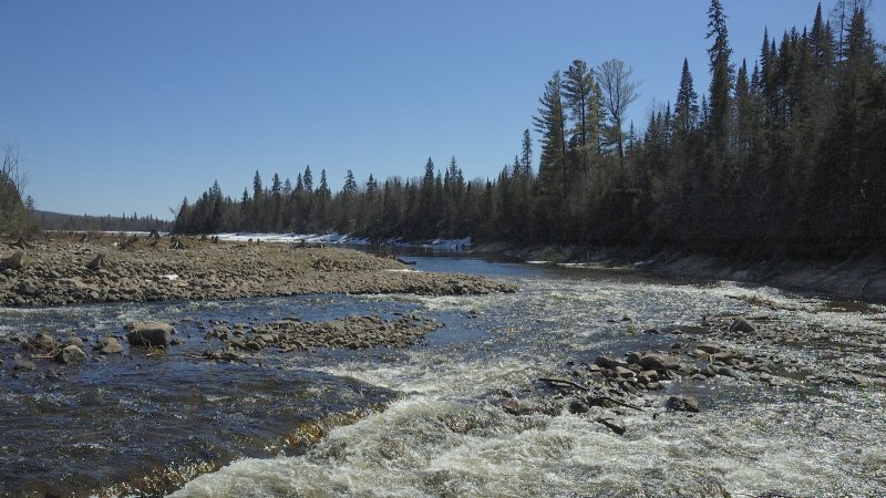 Ruisseau des Cornes