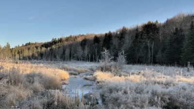 Petit matin frisquet