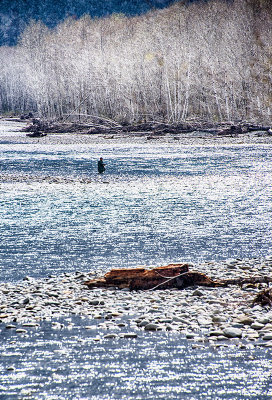 Solitary Fisherman