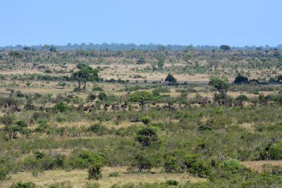 Kruger view