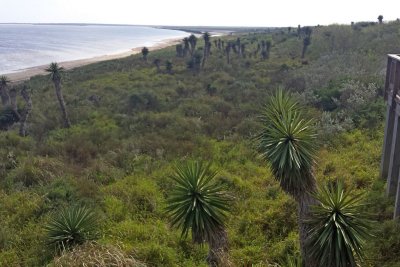 Laguna Atascosa shore