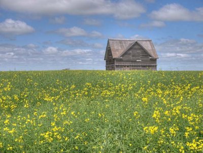 Prairie 1738