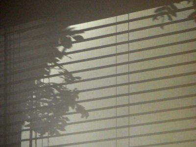 Shadows_07040743