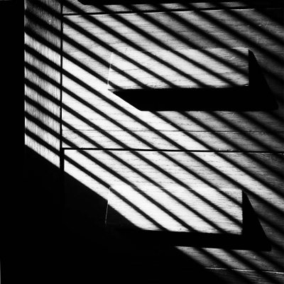 Shadow_9090782BW