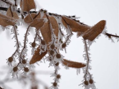 Nature_B301037