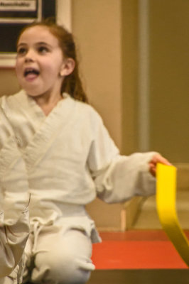 3 Karate  Belts 30.jpg