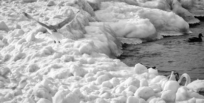 Snow - Ice 03.jpg