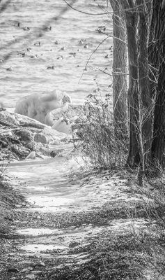 Snow - Ice 11.jpg