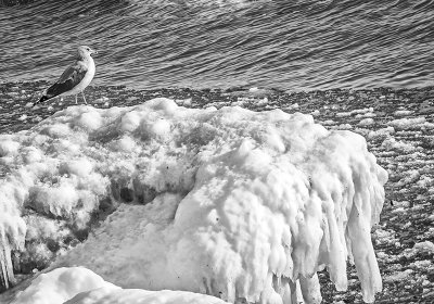 Snow - Ice 13.jpg