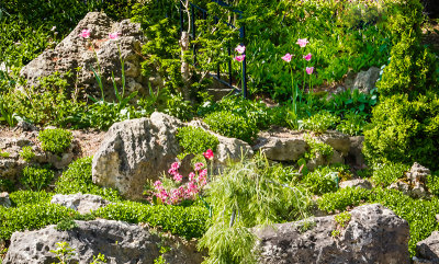 Rock_Garden_05.jpg