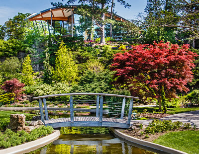 Rock_Garden_07.jpg