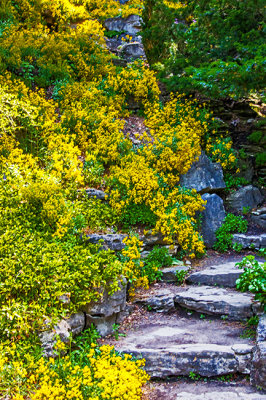 Rock_Garden_08.jpg