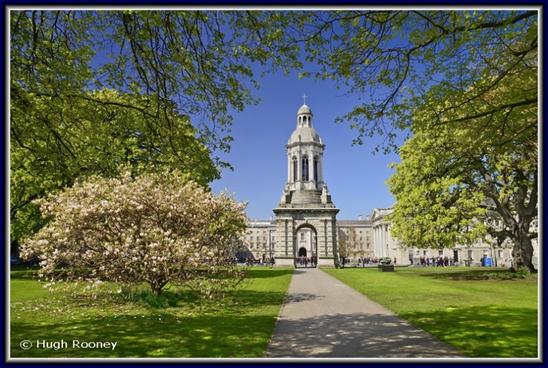  Ireland - Dublin - Trinity College - The Campanile. 
