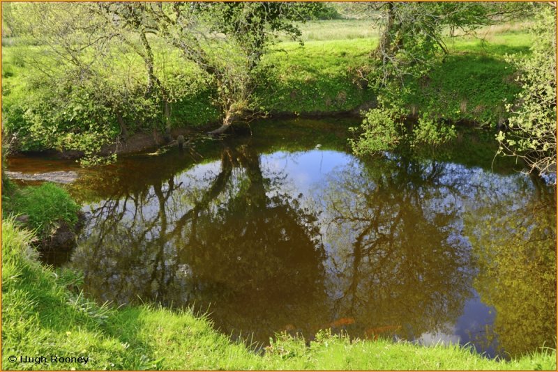  Ireland - Co.Cavan - Shannon Pot - Source of the River Shannon. 