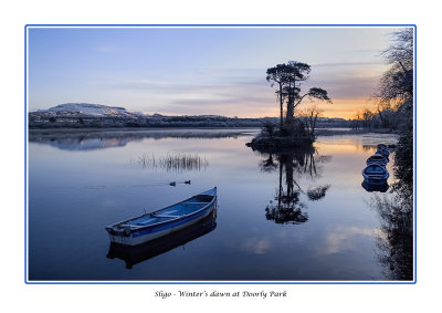  Ireland - Co Sligo - Sligo - Dawn on Lough Gill at Doorly Park 