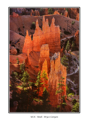  USA - Utah - Bryce Canyon